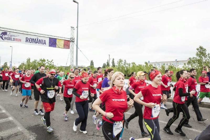 wings for life world run 2014 Bucuresti