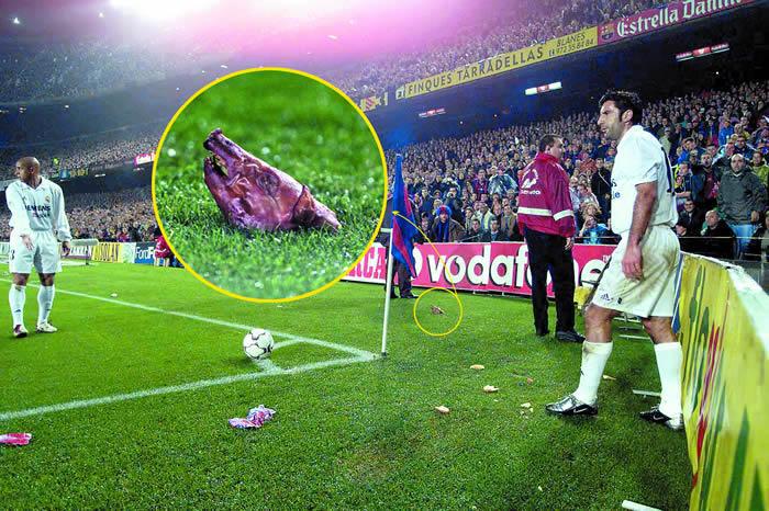 Figo-Pigs-Head-on-Pitch