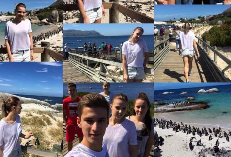 15267588_1187545527989051_3578141697664163508_n