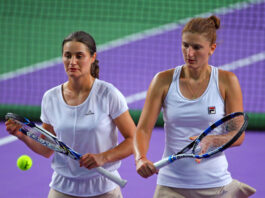 irina begu
