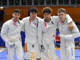 cei patru muschetari